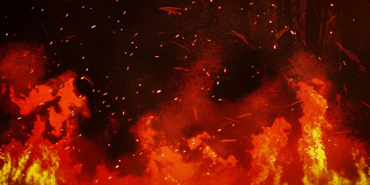 firelight 2 | Handwritten Kin